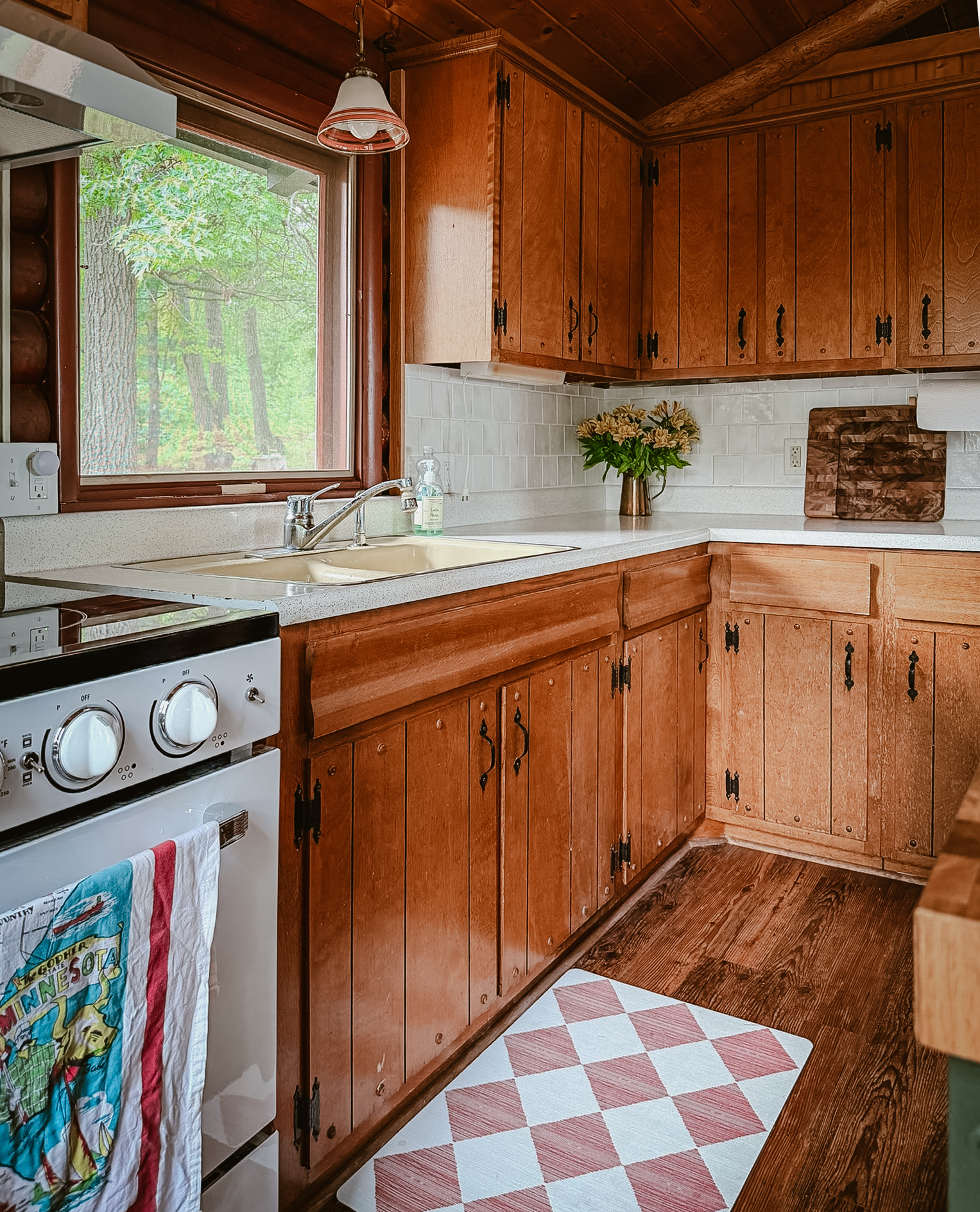 The cabin kitchen sink, induction range, and wood cabinets
