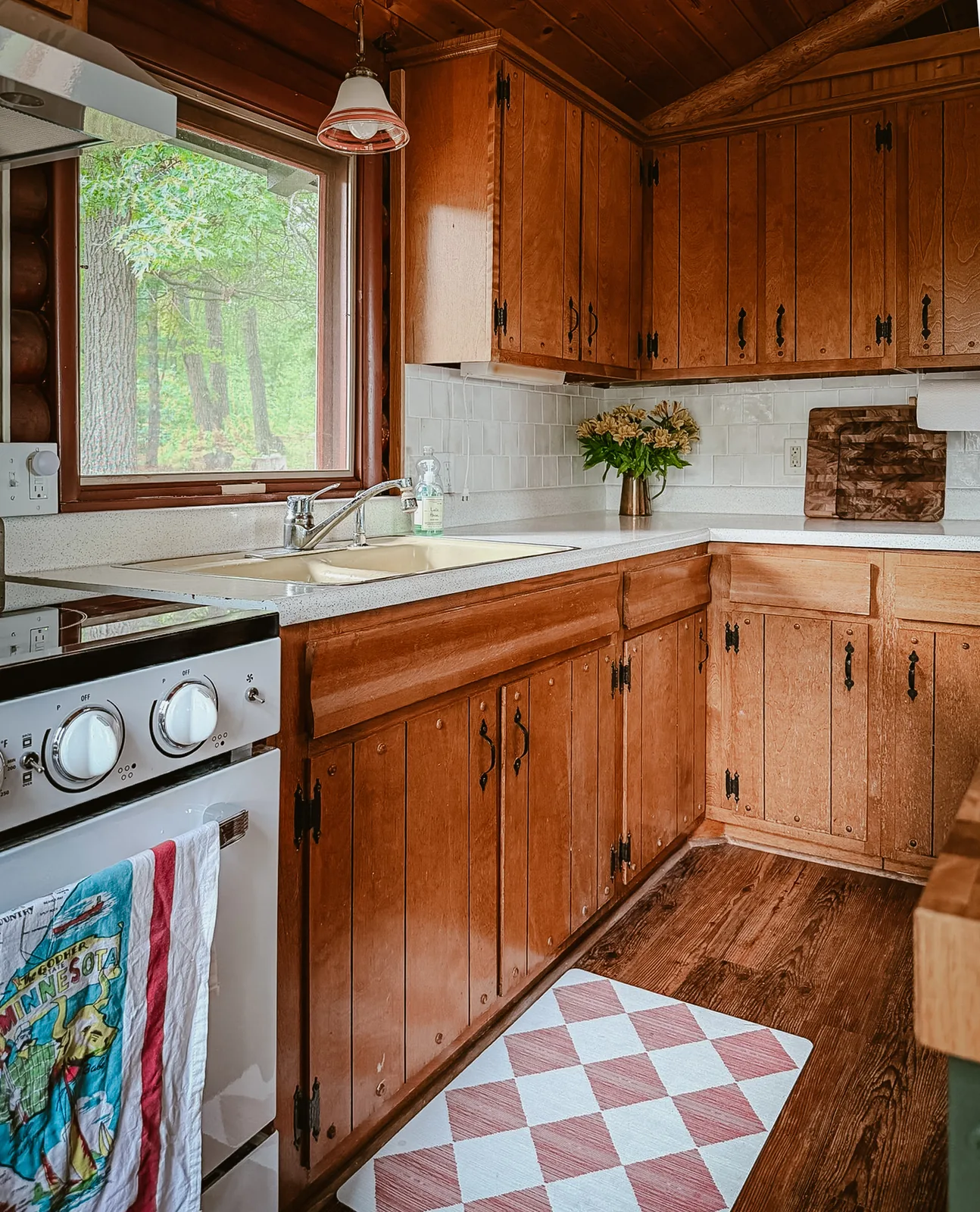 The cabin kitchen sink, induction range, and wood cabinets
