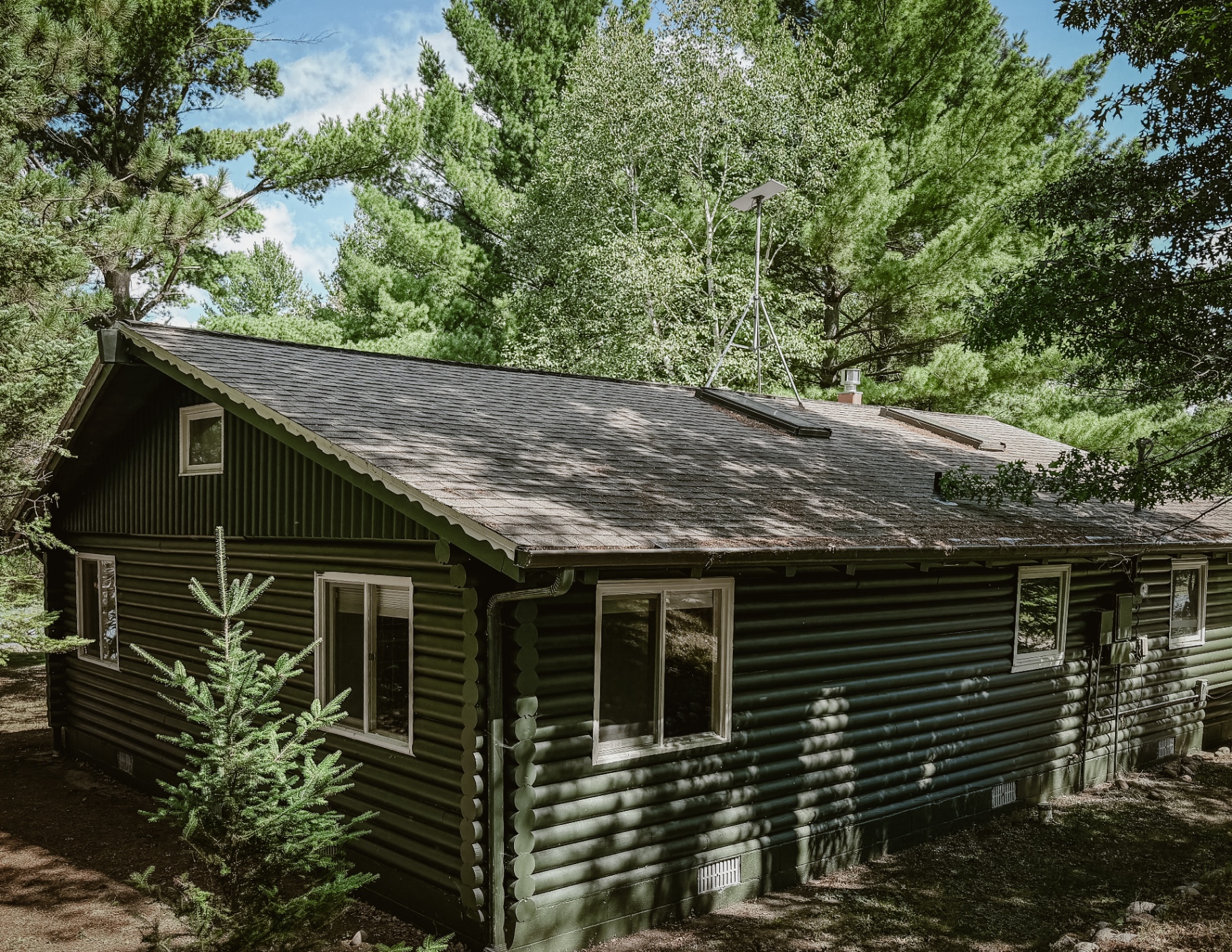 The back side of the cabin looking toward the woods
