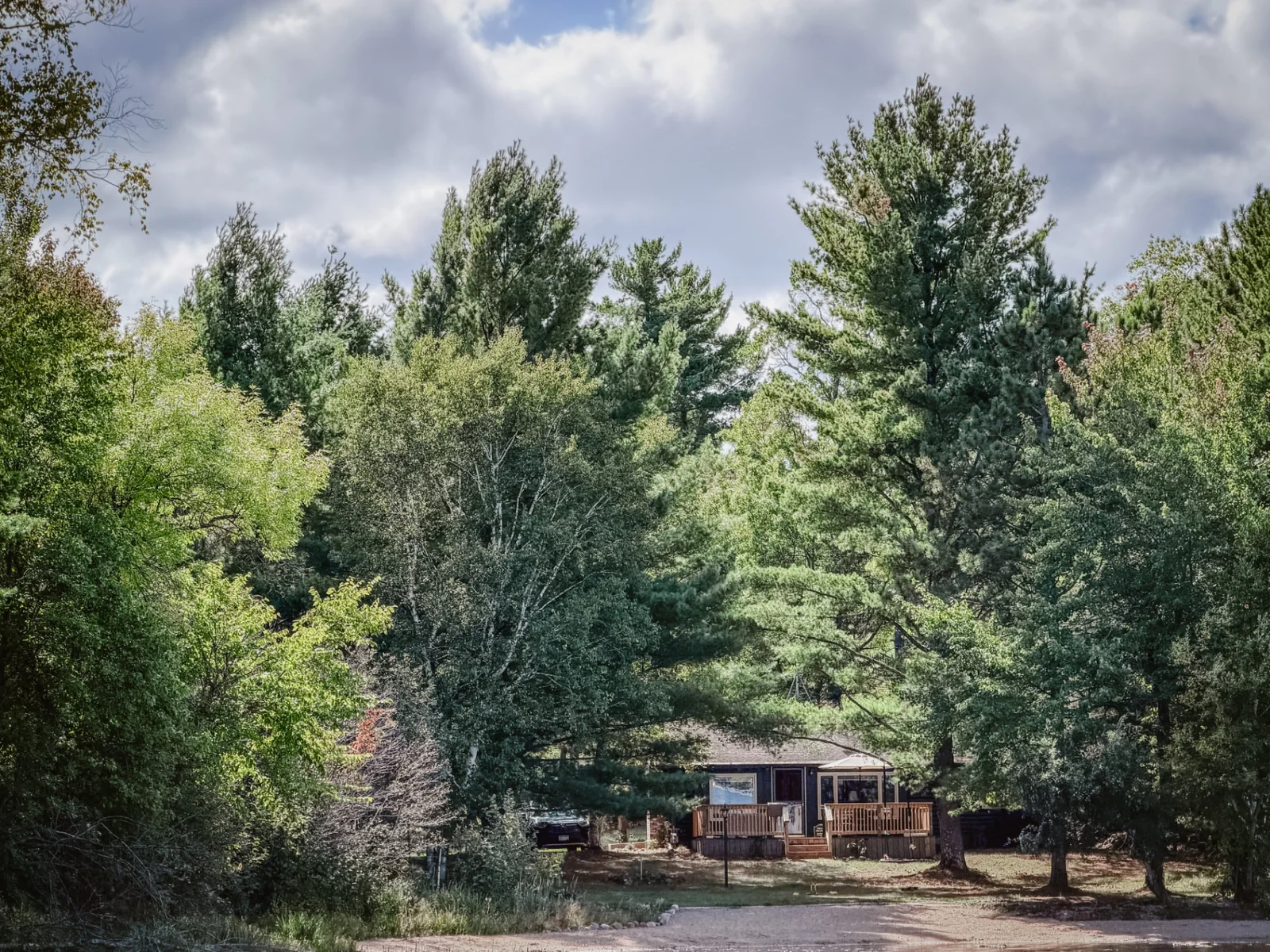The cabin tucked among tall pines at the end of the drive